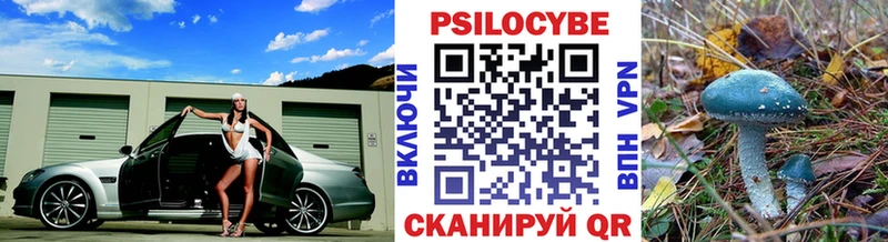 Галлюциногенные грибы Psilocybe  где можно купить   Вышний Волочёк 